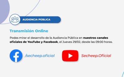 AUDIENCIA PÚBLICA: MIRÁ EL DESARROLLO EN YOUTUBE Y FACEBOOK
