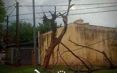 TRABAJOS TRAS EL TEMPORAL EN EL GRAN RESISTENCIA