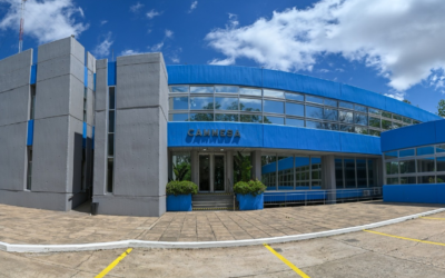 SECHEEP y distribuidoras del NEA y NOA se reúnen con CAMMESA