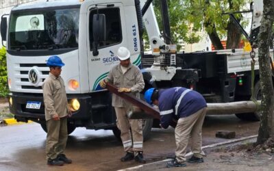 Múltiples trabajos para ampliar la red eléctrica de Margarita Belén