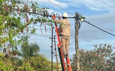 Lucha contra el fraude eléctrico: múltiples operativos en Castelli
