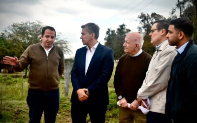 Nueva línea de media tensión para fortalecer la red eléctrica del sudoeste